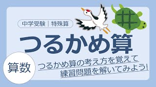 中学受験 算数 つるかめ算 の解き方 教材 テスト制作に強い編集プロダクション Youtube 中学受験 算数 つるかめ算 の解き方 教材 テスト制作に強い編集プロダクション Youtube