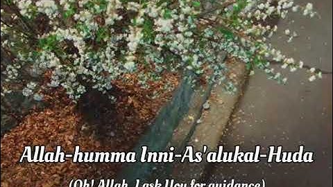 Thumbnail of Siedd Back to You Nasheed Lyrics l Short video