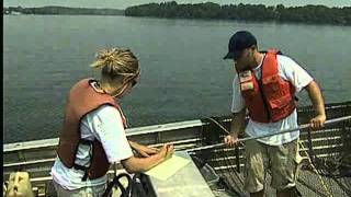 Unauthorized Fish Stocking