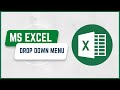 How to create a Drop-Down Menu/List in MS EXCEL - MS EXCEL DROP DOWN SIMPLE - URDU HINDI