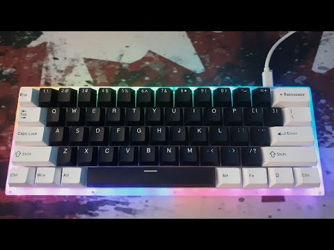 짭홀리판다 Feker HolyPanda 윤활 후 타건(Womier k61, PE foam Mod )