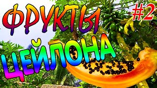 Обзор фруктов на Шри-Ланке #2/Экзотические фрукты/ шри ланка 2020