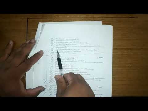 1) Fluid Mechanics