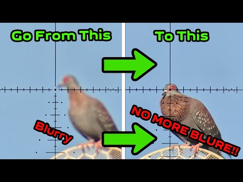 How To Fix Your Blurry Scope Cam Footage Forever Very Easily