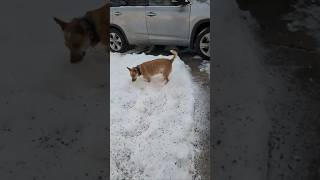 Hunni Checking Out Bird Party Aftermath