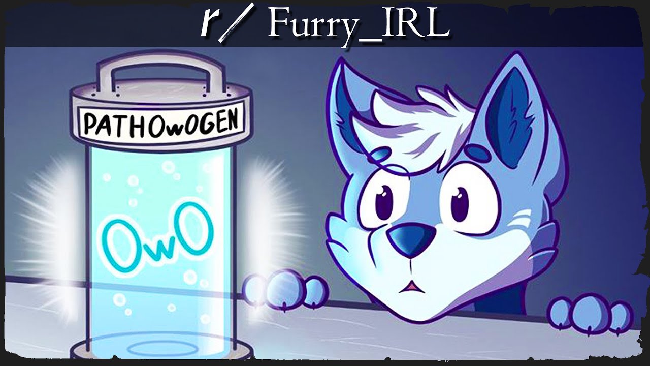 furry_irl : r/furry_irl