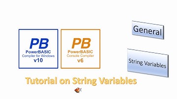 PowerBasic Window & Console Compilers - String Variables
