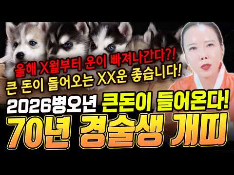 70년생 개띠운세! XX운으로 큰돈이 들어온다?!
