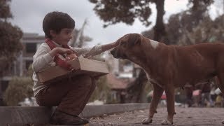 Morat - Aprender A Quererte (8D Audio)