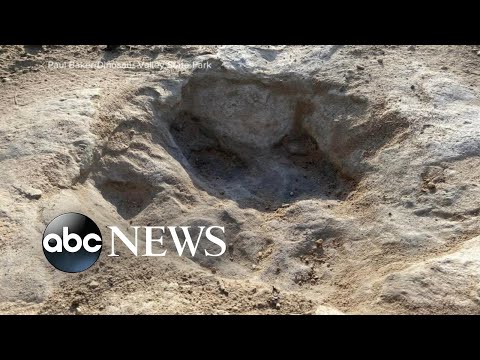 Historic drought reveals dinosaur tracks in Texas riverbed