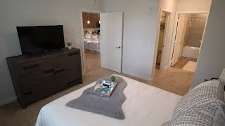 Sheek Contemporary Apartment Airbnb in Jacksonville, FL