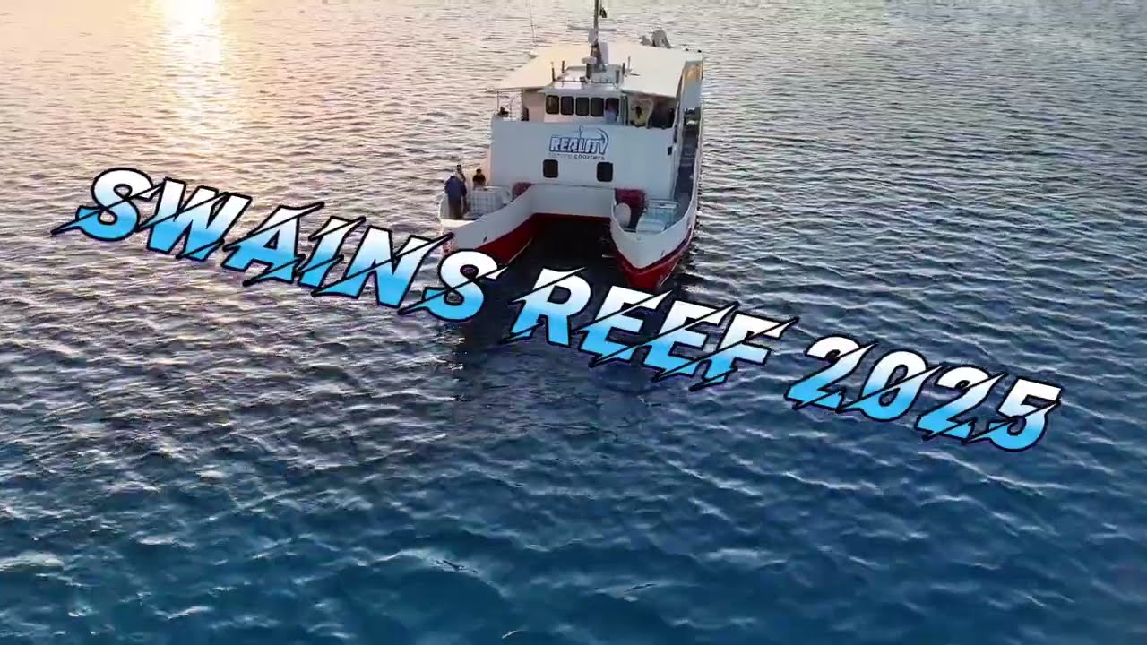 Swains reef with Big Cat reality  short teaser before the full review of the trip 