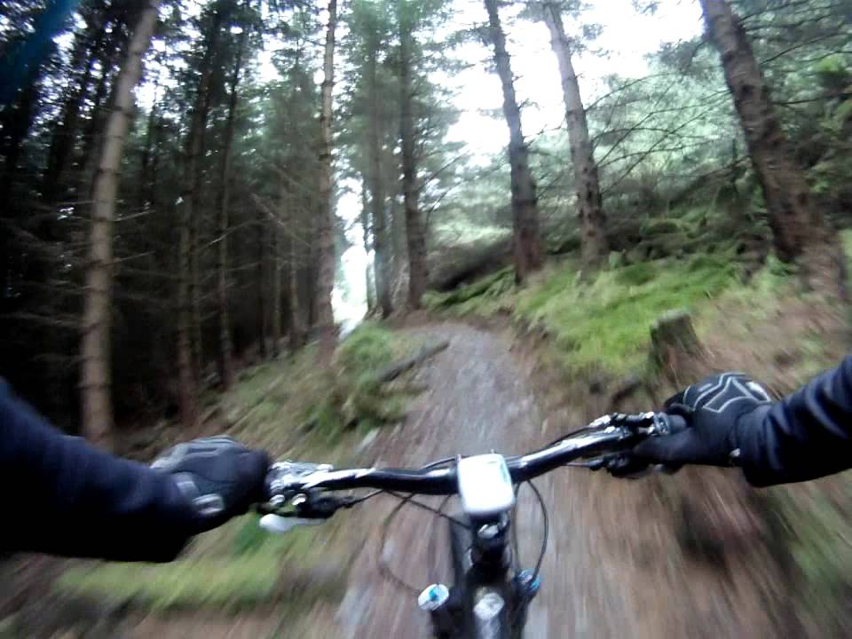 Lake District Mountain Biking Whinlatter Altura Trail YouTube