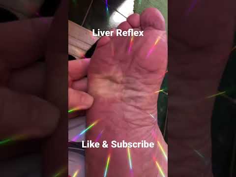 Liver Reflex Reflexology Liver