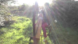 Fiachra - Hidden Gems: The Twin Brothers