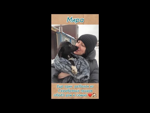 Увидев фото , Юля поняла : «Это - МОЯ!» ❤️🏠 приют для животных