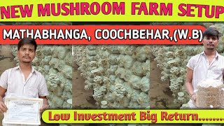 New Mushroom Farm Setup MATHABHANGA , COOCHBEHAR,(W.B)