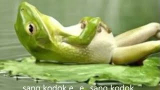 Download lagu Sang Kodok - Lagu Anak - Anak Terpopuler