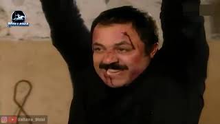 Kollama Necip Amir Ve Yiğit,Güvercinin Elinde