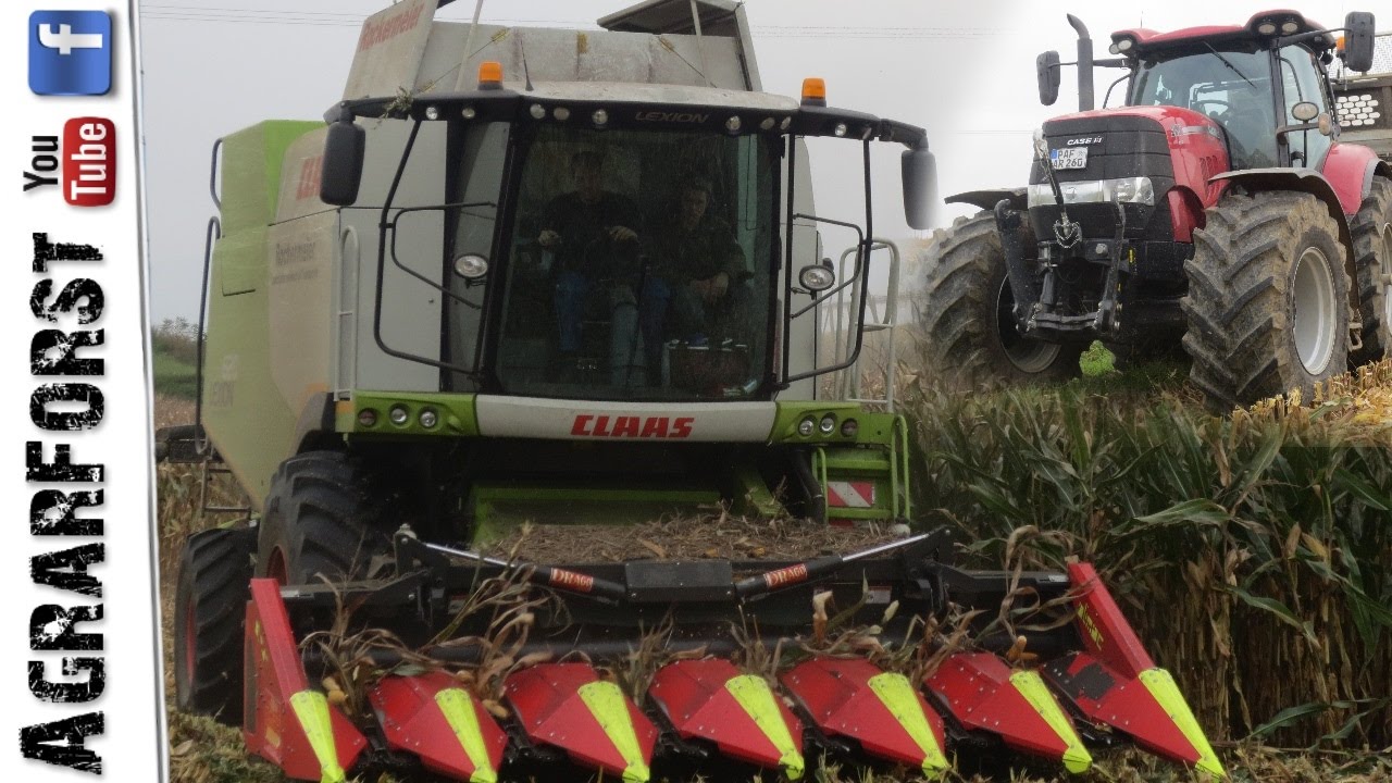 MAISERNTE 2016! - Claas Lexion 620 vom Lohnunternehmen Rockermeier
