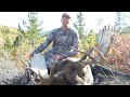 Moose hunting part 3