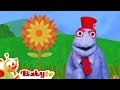 Yellow Flower with a Bee and a Rainbow full of Colors! | BabyTV