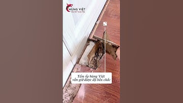 ❌ SỰ THẬT BẤT NGỜ: Tấm ốp than tre có bị mối mọt như gỗ MDF? #tamopthantre #hungviet #decor #nhadep