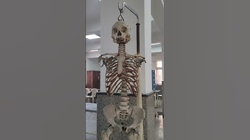 Medical students life at BHU| #mbbs #BHU