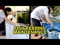 Fish Keeping Maintenance For Beginners! Aquariums and Ponds!