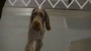 SDV_0316.MP4