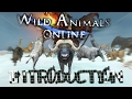 Wild Animals Online Game Introduction