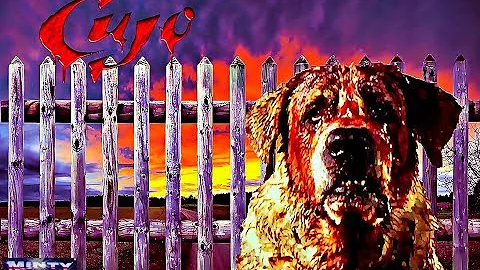 Was Cujo really played by a man?
