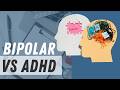 Do I Have Bipolar or ADHD? PMHNP Explains the Difference