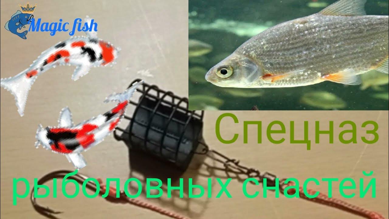 Донная снасть. Петля Гарднера. оснастка для течения, лучшая снасть на ...
