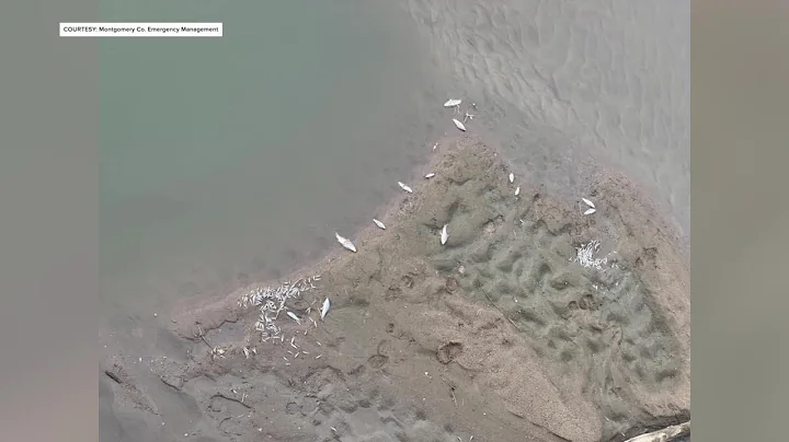 More than 700,000 fish killed in East Nishnabotna River