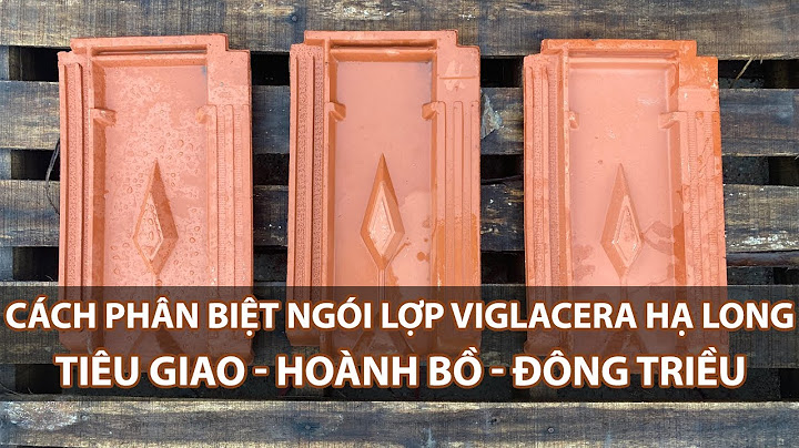 Ngo i ha long bao nhiêu tiê n 1 viên