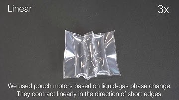 Laser Pouch Motors (IEEE Robotics and Automation Letters, presented at RoboSoft 2020)