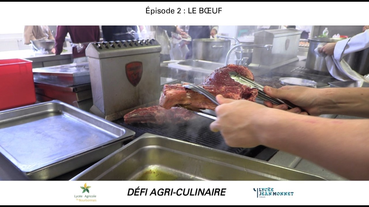 Défi Agri Culinaire épisode 2 Le Boeuf