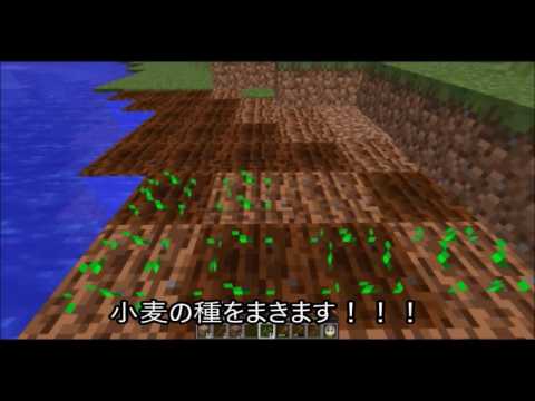 小麦畑の作り方 こむぎばたけのつくりかた 川の近く編 マインクラフト基本ふりかえり あたりまえminecraft Youtube