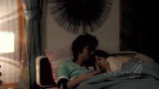 Personal Taste || I shouldn't love you but I want to