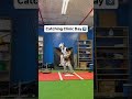 Day 3 Catching Clinic. #baseballdrills #baseball #catchingdrills