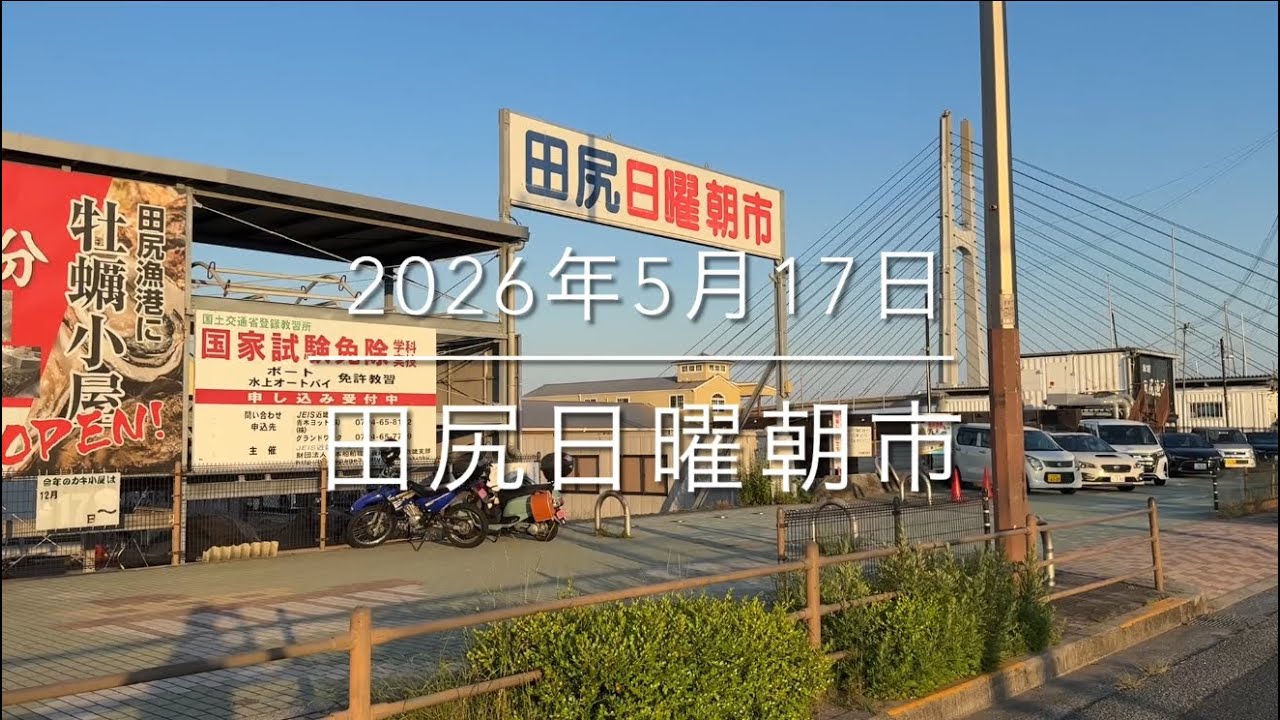 【旬を爆買い!?】大阪最強朝市の凄まじさ!!【買うべき魚1選】『田尻日曜朝市』