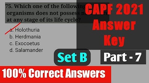 CAPF 2021 ANSWER KEY PART - 7 With Analysis (Paper - 1, Held on 8 August) Set-B । VPS EDUCATION ।