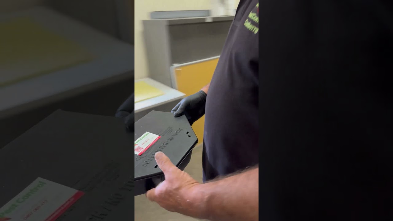 Commercial Rodent Baiting Canberra