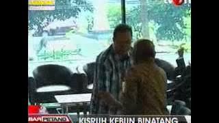 Download lagu TvOne 2001 Walikota Surabaya Melapor ke KPK