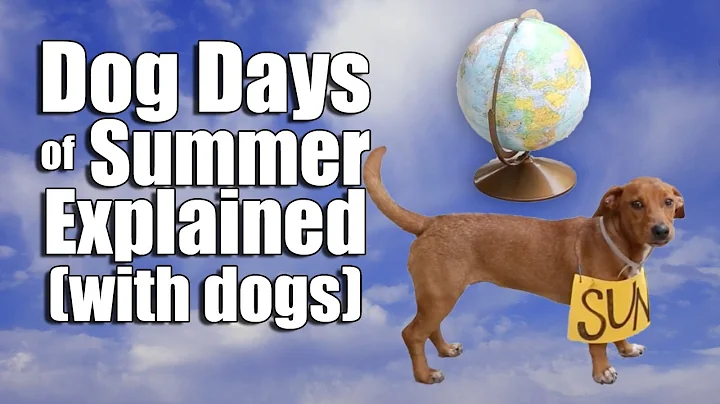 Dog Days of Summer Explained (with dogs) - DayDayNews