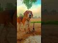 🐕❣️ #dog #viral #cute #shortvideo #trending #beagle #reels #like #feelings #riyuu_003 #nice #dogs