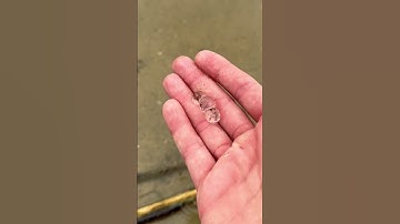 Thumbnail of Rescuing Cute Jellyfish Blobs #shorts