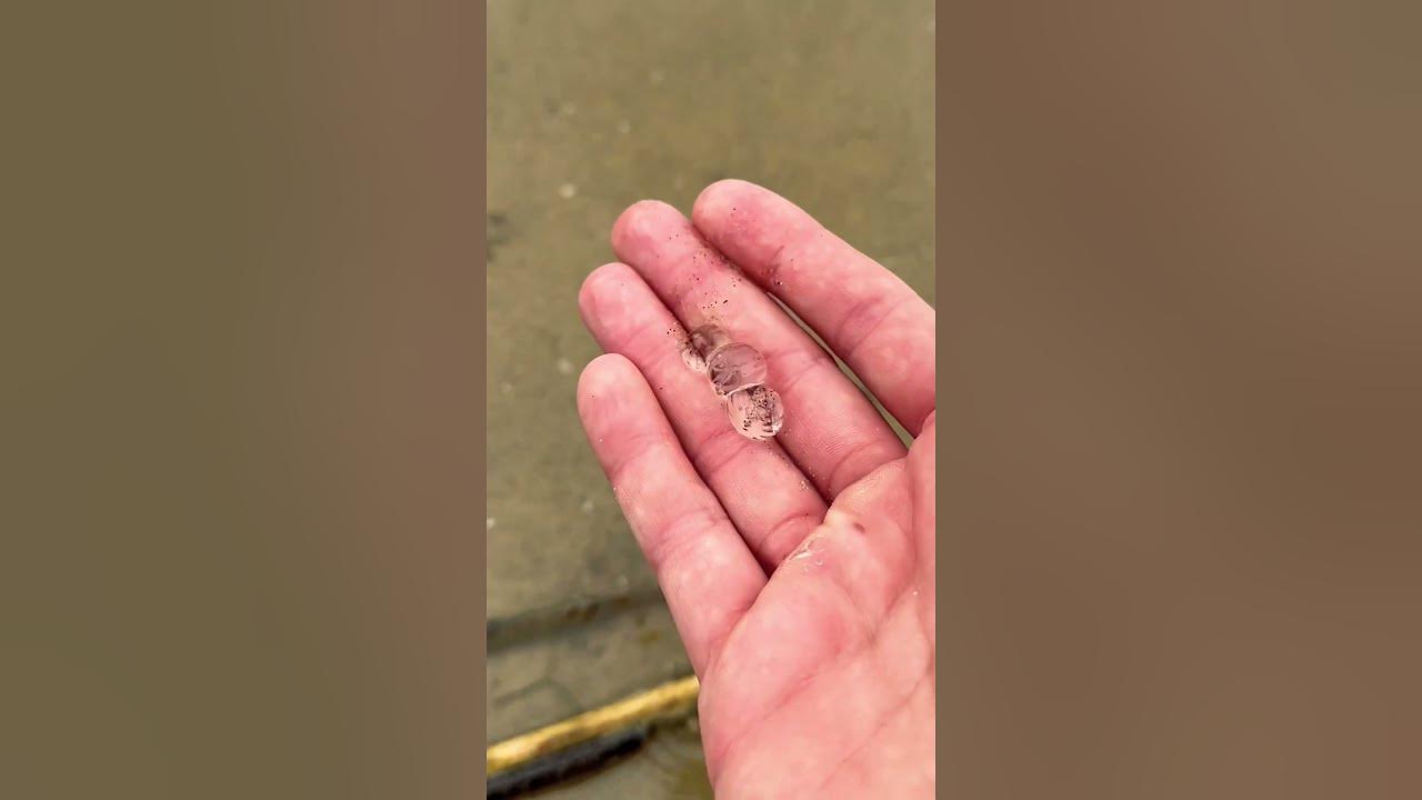 Rescuing Cute Jellyfish Blobs #shorts