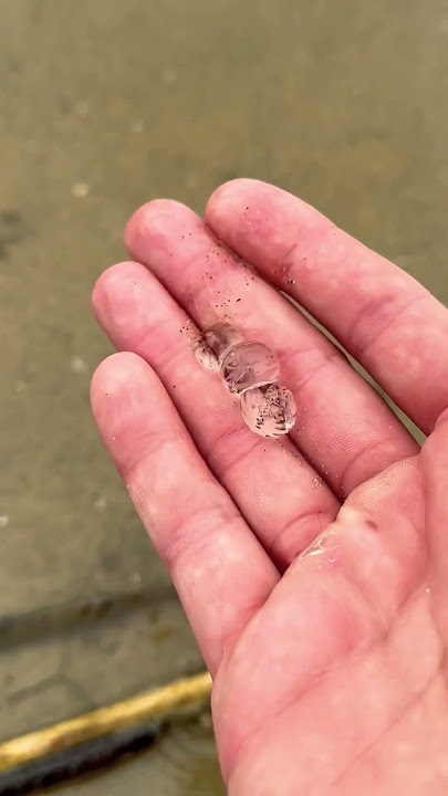 Rescuing Cute Jellyfish Blobs #shorts